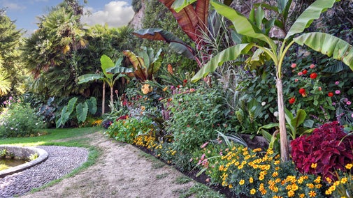 The summer display on the South Terrace.